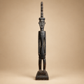 The Ancestral Sentinel